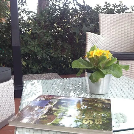 Splash House Hotel Tirrenia